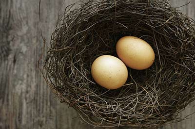 دو عدد تخم‌مرغ درون یک لانه پرنده ساخته شده از چوبهای نازک