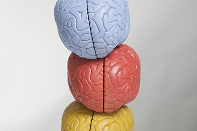 سه قطعه پلاستیکی به شکل مغز به رنگهای آبی و قرمزو زرد که روی هم قرار گرفته‌اند